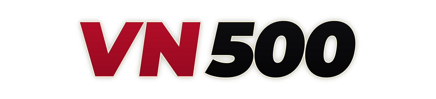 vn500